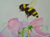 Bumblebee and Sweet Peas