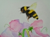 Bumblebee and Sweet Peas