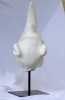 Carrara Marble Wild Animal -Rhinoceros 3