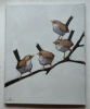 House Wrens