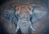 Gray Elephant