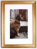 'Captivating' Tortoiseshell - Tabby Cat Art