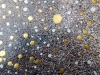 Gold Dust  SN 0365