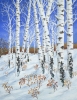 Silver Birch in Winter