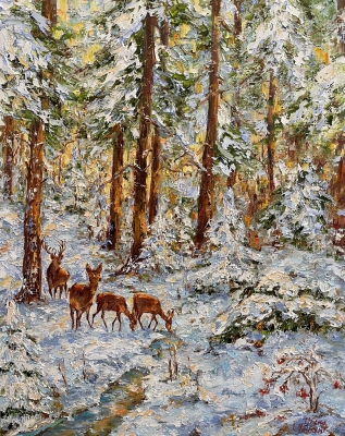 In the Winter Forest