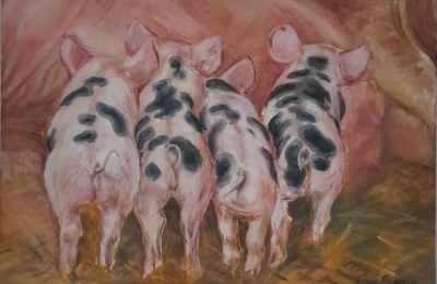 Hungry piglets