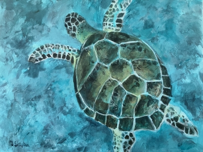 Sea Turtle
