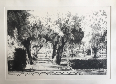 Alderdı Eder Park 