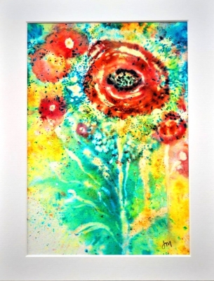 Poppy Delight