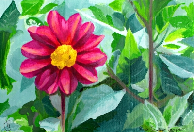 Beauty From My Garden, a portrait of a magenta flower