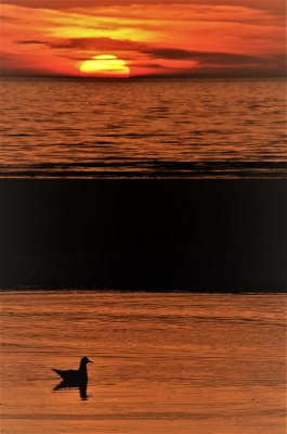 Blackpool sunset 5