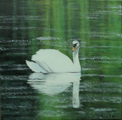 Time for Reflection