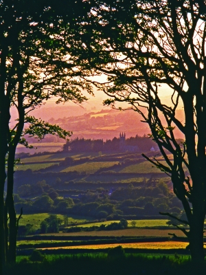Golden Hour, Devon