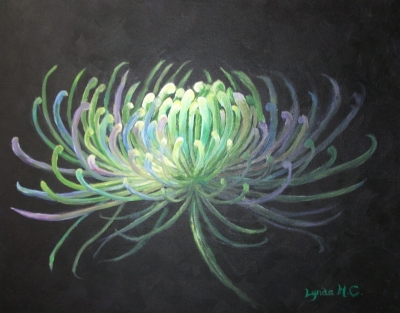 ILLUMINATED CHRYSANTHEMUM