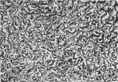 Hidden rhythms 