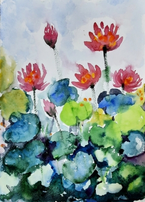 Water lily garden Pond