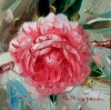 Camellia 