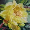 Peony flower 