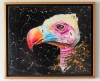 Vulture (framed)