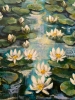 Lilly Pond no 6