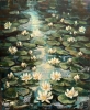 Lilly Pond no 6