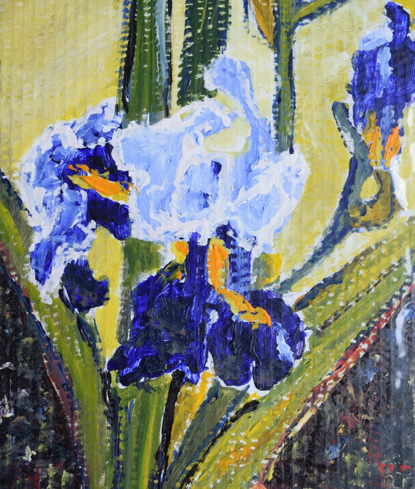 Blue Irises