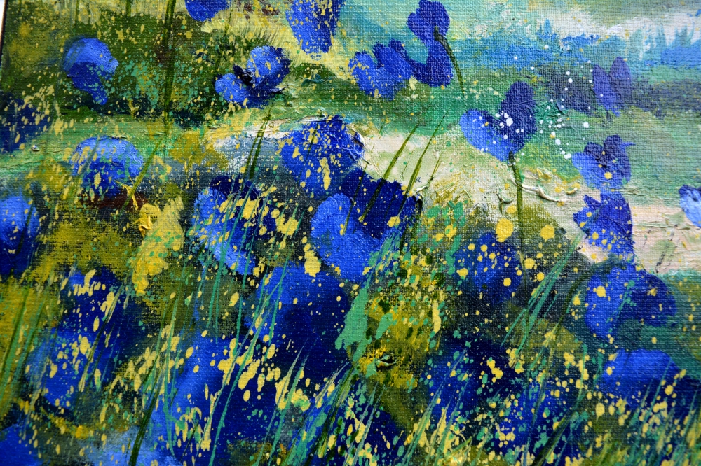 Blue poppies in the countryside,