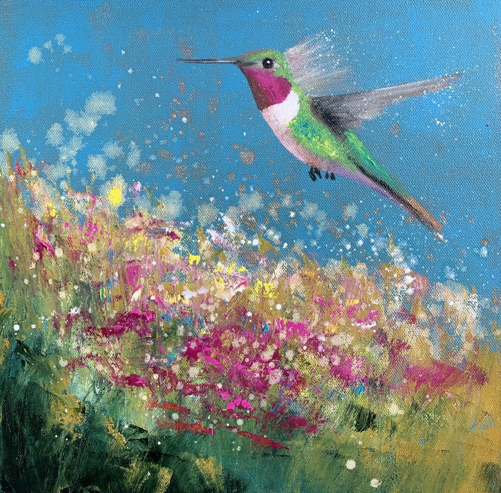 Anna's Hummingbird II