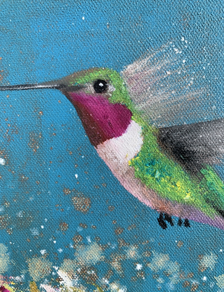 Anna's Hummingbird II