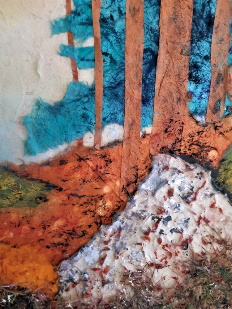 Sunrise in the Forest