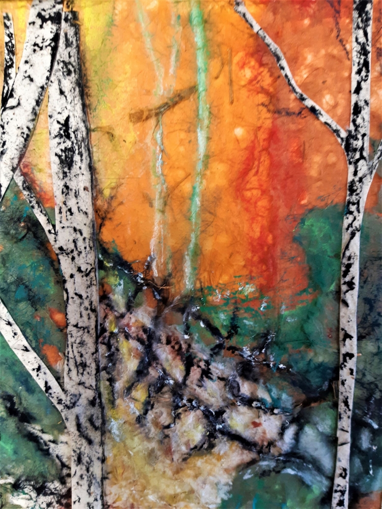 Sunset through the trees