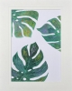 MONSTERA LEAVES