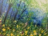 Bluebells and Daffodils 