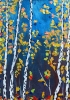 Birch Tree with mix leaves 119