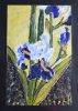 Blue Irises