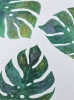 MONSTERA LEAVES