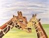 Giraffes, (mother and calf)