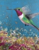 Anna's Hummingbird II