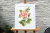 Light Pink Rose