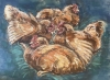 Sunbathing Hens