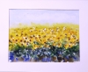 Sunflower fields, watercolours on paper