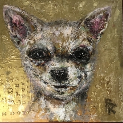 Chihuahua 