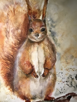 Squirrel watercolour painting 