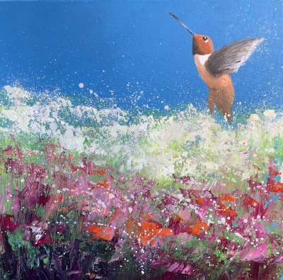 Rufous Hummingbird