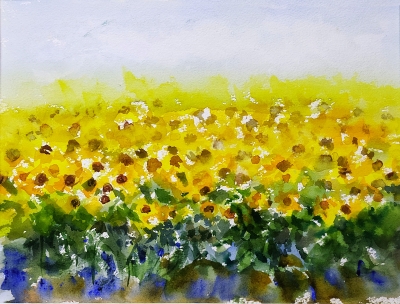 Sunflower fields, watercolours on paper