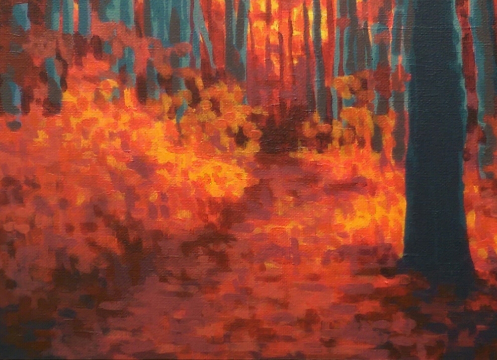 Sunset Woods