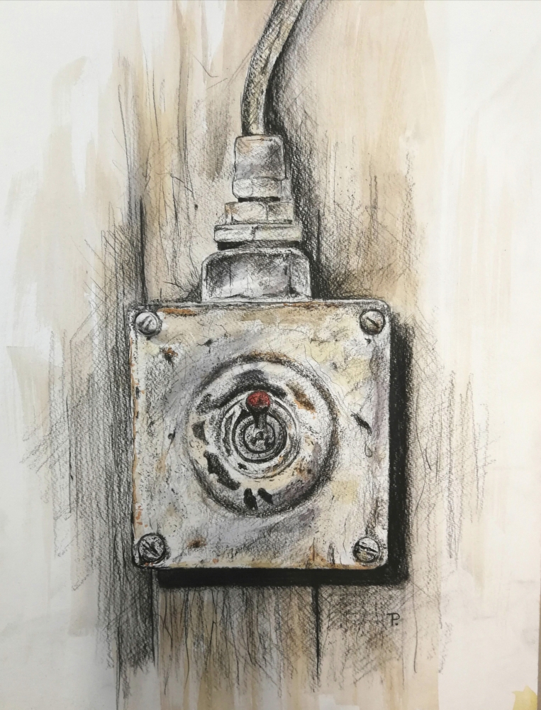 Industrial Light Switch