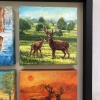 FOUR SEASONS OF RICHMOND PARK