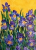 Garden Iris acrylic painting on canvas