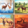 FOUR SEASONS OF RICHMOND PARK